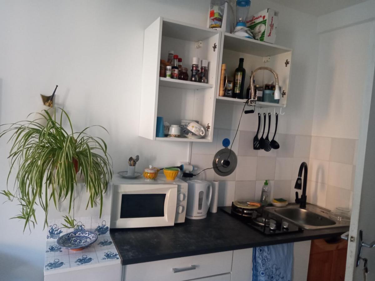 Tiny Studio Ariege Pyrenees Castelnau-Durban ภายนอก รูปภาพ